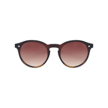 تحميل الصورة إلى عارض المعرض، Sefsan Chase sunglasses with tortoise brown fade frame and gradient lenses, unisex modern style, lightweight and stylish for everyday wear