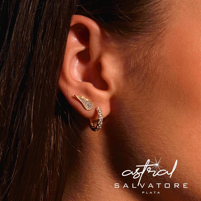 EARRING SILVER 925 PLATED GOLD WINGS CZ