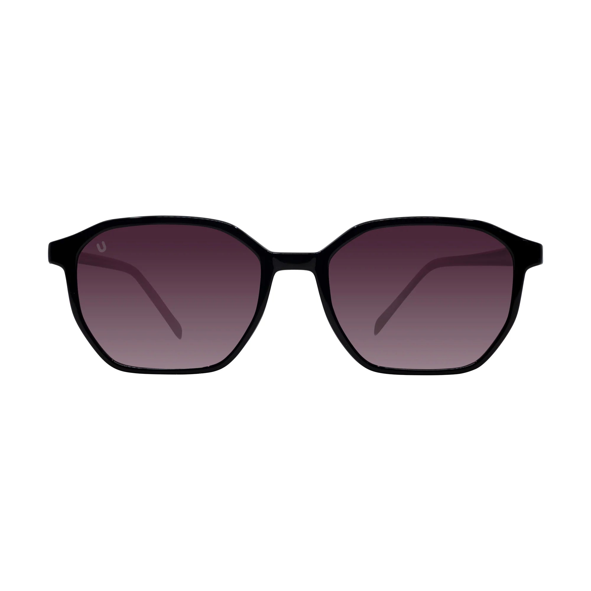 Bug - Shiny Black / Purple
