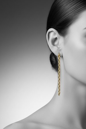 ROLLER DROP Earring on Model