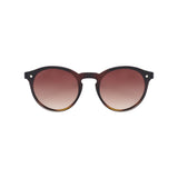 Sefsan Chase sunglasses with tortoise brown fade frame and gradient lenses, unisex modern style, lightweight and stylish for everyday wear